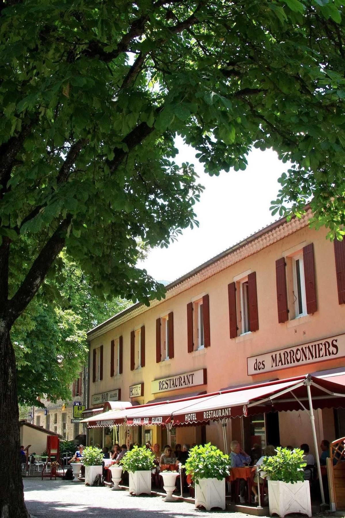 Les Marronniers Hotel Thueyts Kültér fotó